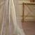Gold embellished embroidered  georgette designer saree