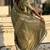 Green woven design zari satin banarasi saree
