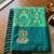 women's sea green soft pochampally saree with zari border for festive & traditional wedding wear