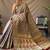 Grey woven design zari patola saree