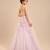 Lilac tulle net gown with ruffle embroidery