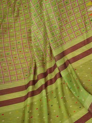 Olive checked ready to wear saree 5