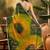 Green bandhani printed embellished beads and stones border saree