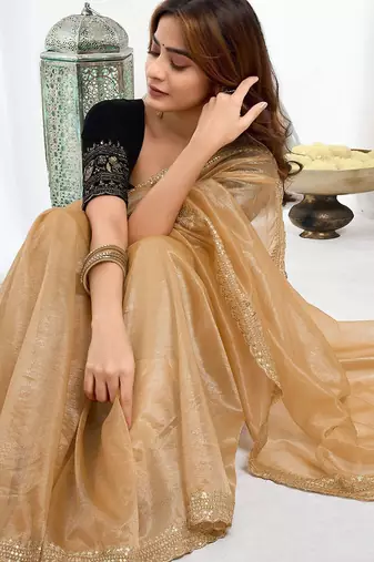 Brown embellished embroidered  chiffon designer saree