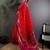 Red paisley zari silk blend designer banarasi saree