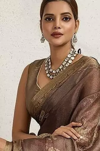 Brown floral printed sequinned tissue kanjeevaram saree