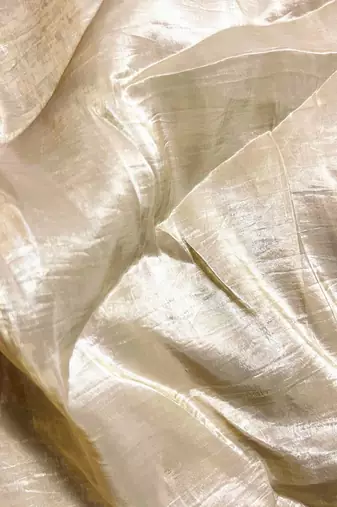 Gold tissue saree