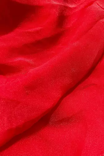 Red poly georgette saree