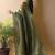 Olive woven design tissue saree