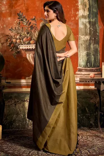 Brown designer saree