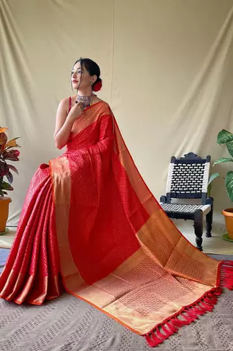 Red woven design zari patola saree