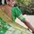 Green woven design zari kanjeevaram saree