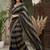Navy blue striped embroidered silk blend fusion saree