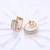 Fancy hoop earrings cz studded festive casual wear jewelry for women