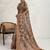 Brown floral sequinned tissue saree