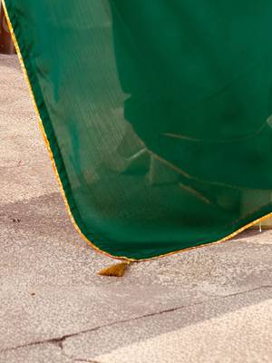 Green sequinned satin heavy work saree 4