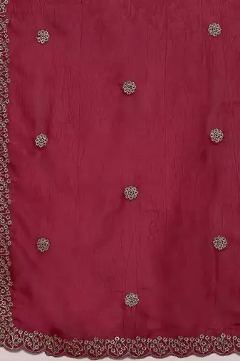 Red embellished zari tissue designer saree
