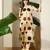 Off white printed cotton kurta trouser set