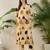 Beige printed cotton kurta trouser set