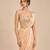 Champagne gold embroidered saree set with embroidery belt