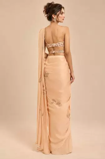 Champagne gold embroidered saree set with embroidery belt