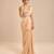 Champagne gold embroidered saree set with embroidery belt