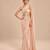 Rose gold corset embroidered saree set