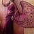 Purple embroidered  sarees