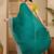 Green floral embroidered heavy work saree