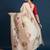 Cream adults-women floral printed with embroidered border saree with unstitched blouse