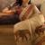 Beige printed patola saree with unstitched blouse piece