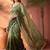 Green ombre mirror work tissue saree