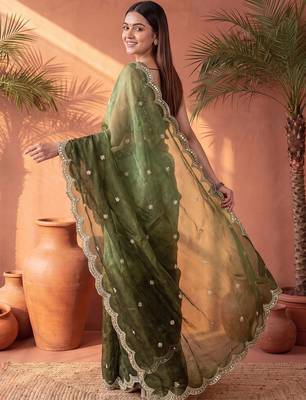 Green ombre mirror work tissue saree 4