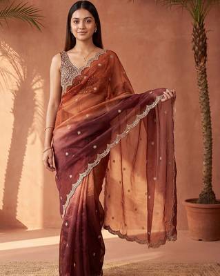 Multicolor women ombre mirror work tissue saree 1