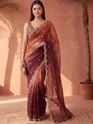Multicolor women ombre mirror work tissue saree 2