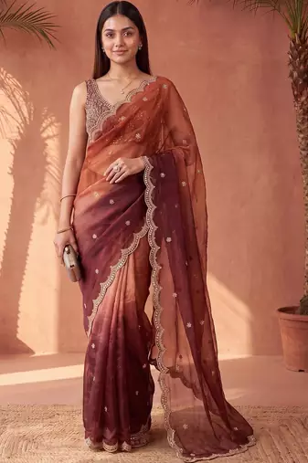 Multicolor women ombre mirror work tissue saree