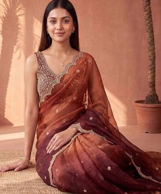 Multicolor women ombre mirror work tissue saree 3