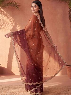 Multicolor women ombre mirror work tissue saree 4