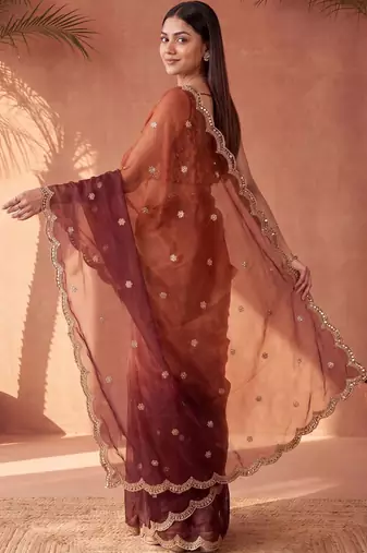 Multicolor women ombre mirror work tissue saree