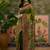 Green position printed zari weaving saree with contrast blouse piece