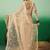 Beige graceful elegance embroidered saree