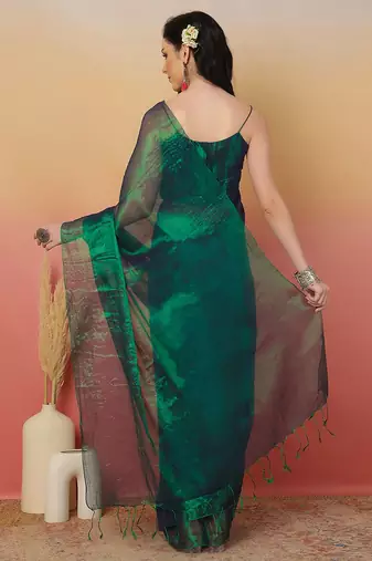 Green zari tissue saree with unstitched blouse