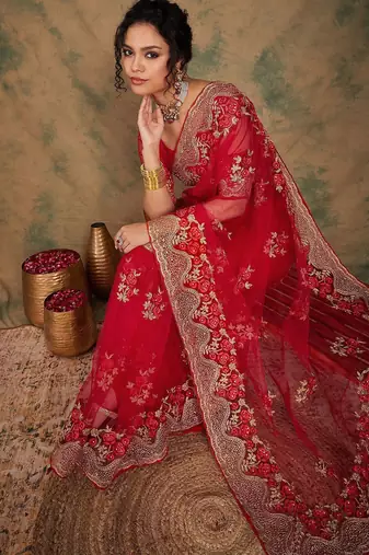 Red ethnic motifs embroidered net saree