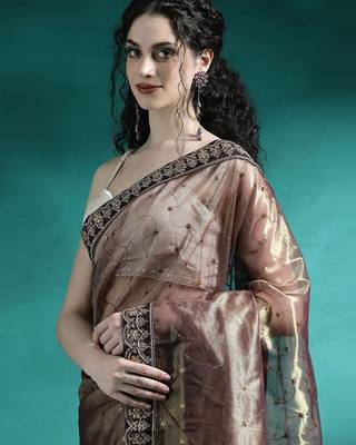 Brown embroidered sarees 1