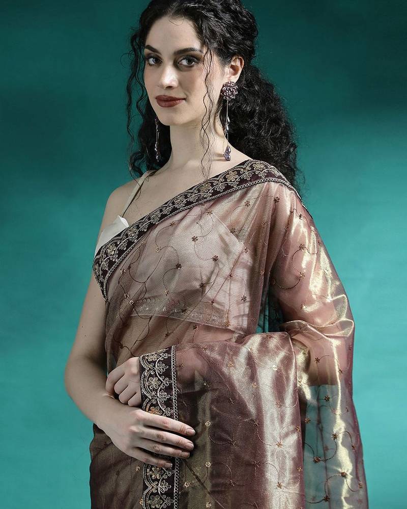 Brown embroidered sarees
