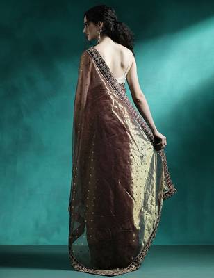 Brown embroidered sarees 3