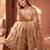 Gold embellished sequinned net designer saree