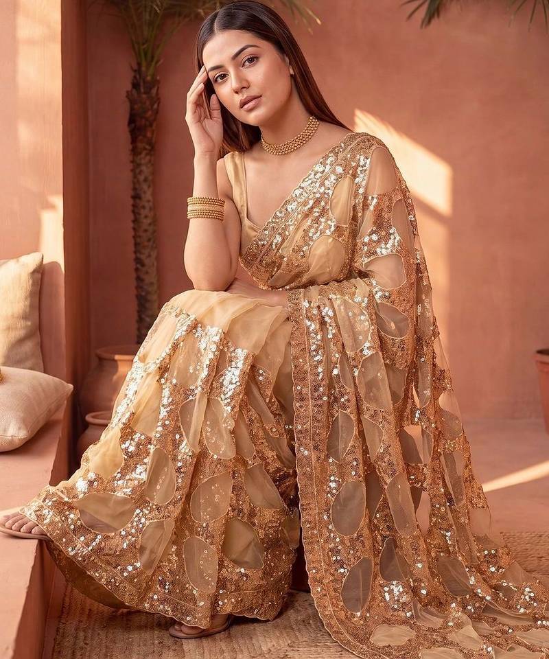 Gold embellished sequinned net designer saree