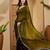 Olive women solid zari saree