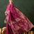 Pink woven design banarasi saree with blouse piece